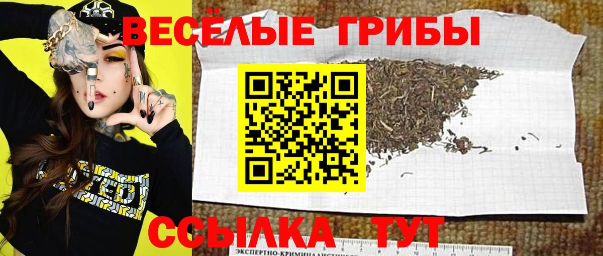 цены наркотик  Вход с VPN  Псилоцибиновые грибы прущие грибы  Сокол  Галлюциногенные грибы Magic Shrooms 